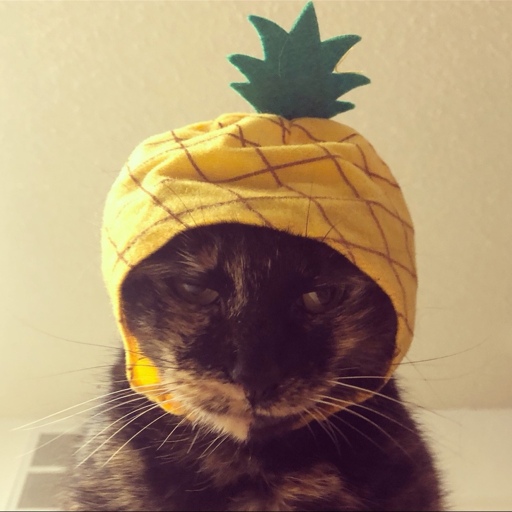 Meet your Posher, Amanda